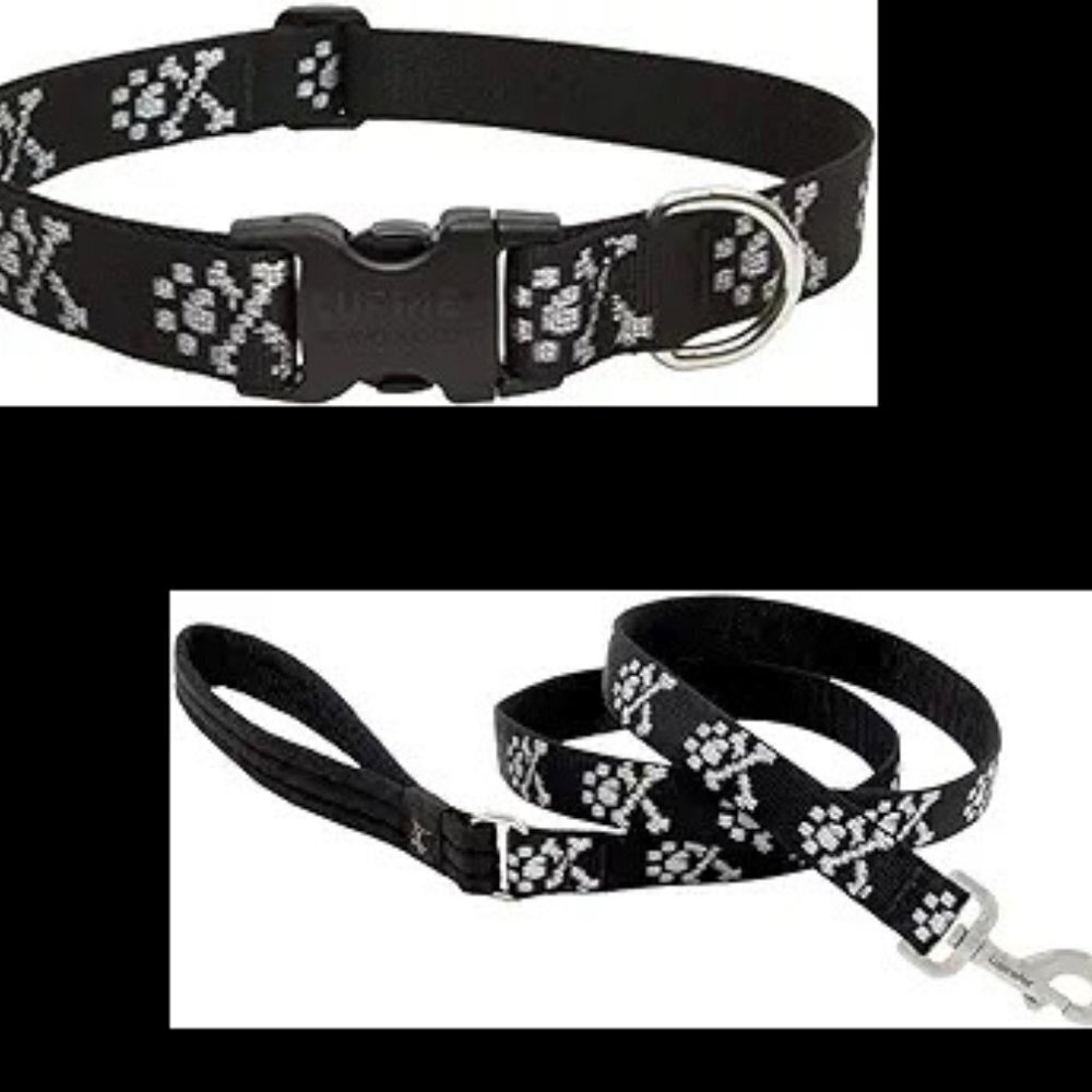 Lupine bundle collar and leash 3/4" in Bling Bonz pattern
